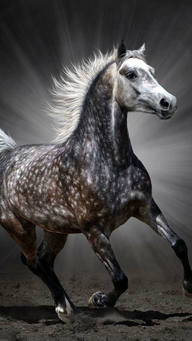 1000007226