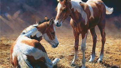 Wild Ponies in Harmony: Embracing Freedom with Unbridled Joy