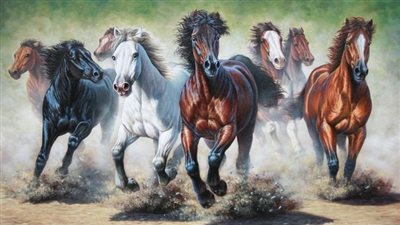 When is the right time to think about euthanasia for my horse?