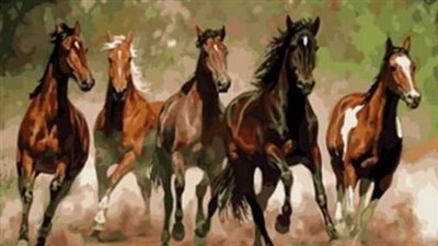 Can a horse break their tongue bone?