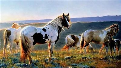 Why does my horse nudge me?