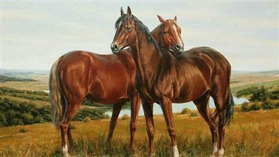 Is protein heating in horse feed? 
