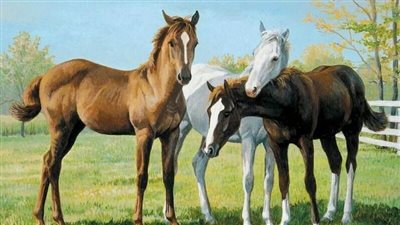 Why does my horse eat mud?