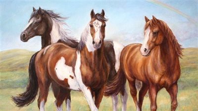 How can I keep my horse fit over winter?