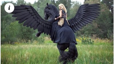 Unveiling the Mythical Might: The Power of the Winged Horse