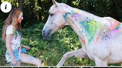 The Joyous World of Playful Horses: Exploring the Splendor of Colors
