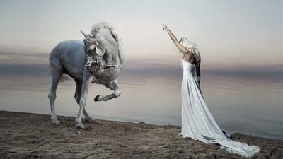 Horrifying Moment an Abused Horse Attacks its Owner, But You Won’t Believe the Remarkable Turnaround()