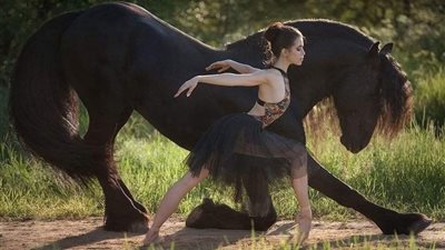 The Mesmerizing World of Horse Circus: Where Elegance Meets Spectacle  ‎