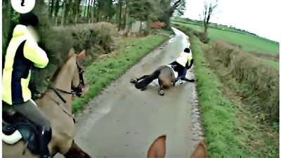 Horse Gets Scared By A Deer And Falls Across The Road ‎