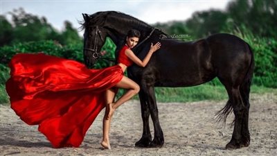 The Majesty of Royal Horses: A Glimpse into the Equestrian Legacy of Royalty (video)  ‎