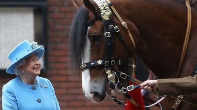 Queen Elizabeth II’s Beloved Equines: A Glimpse into Royal Stables ()