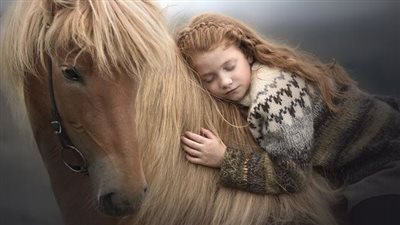 The Extraordinary Beauty of Horses: Embracing Uniqueness in Equine Elegance (video)  ‎
