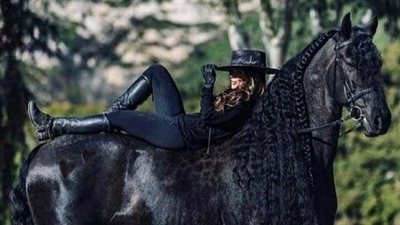 Handsome Black Friesian Horse Shows Off His Majesty ‎