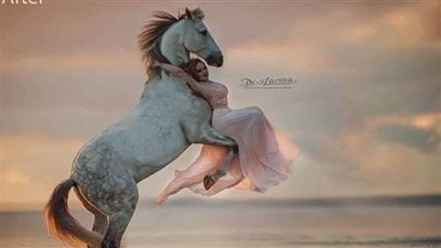 Unveiling the Graceful Fusion of Beautiful Horses and the Artistic Sport   ‎