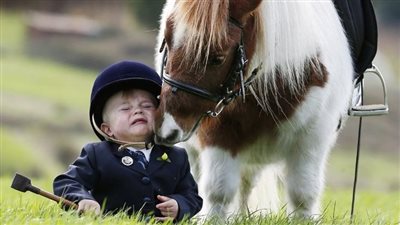 1 Little Boy’s Care for Belgian Draft Mare and Foal