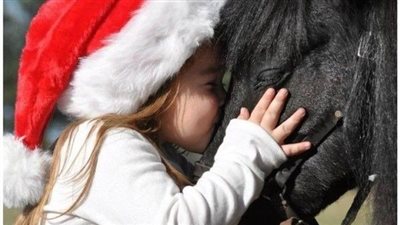 Holiday Joy: The Trend of Horseriding in Inflatable Christmas Suits‎