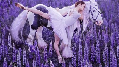 Immerse Yourself in the Serene Splendor of a Blue-Eyed Cremello Horse amidst a Lupine-filled Landscape(Video) ‎