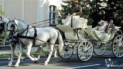 The Timeless Elegance of Horse-Drawn Carriages: A Fusion of Tradition and Modern Experience   ‎