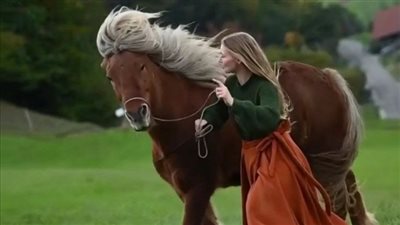 Horse Haven: The Joy of Ground Time with Owners