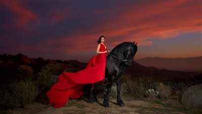 Graceful Speed: Unveiling the Timeless Beauty of Thoroughbred Racing Horses  ‎