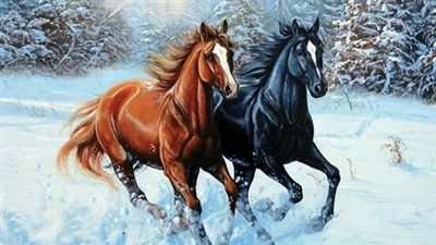 Why does my horse need a dental every year?