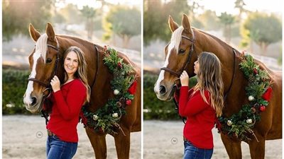 How Horses Bring the Magic of Christmas to Life  ‎