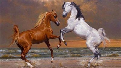 What is PPID and how is it treated in horses?