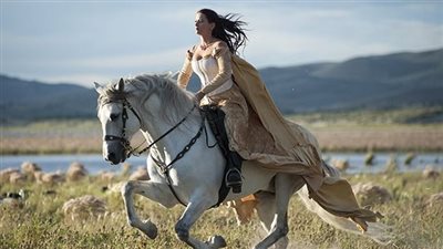 How are horses put down?