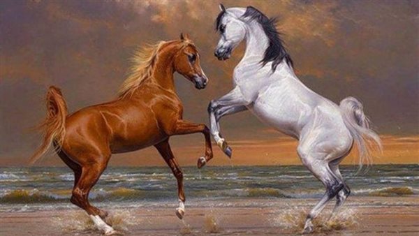 موقع أيام نيوز