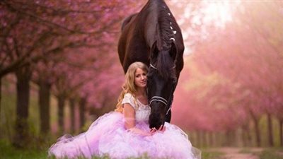 Eye Infections in Horses