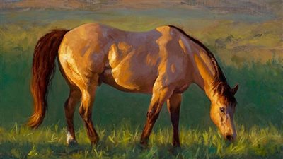 Determining What It May Cost to Board Your Horse