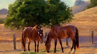 What Makes a Horse a Filly