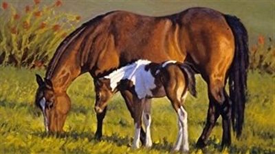 What Can I Do With a Yearling?