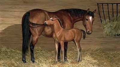 How to Deal With the Horse Pasture Bully