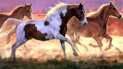 Names for Mares and Fillies