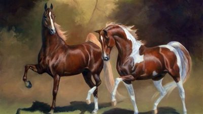 Spotted Saddle Horse: Breed Profile