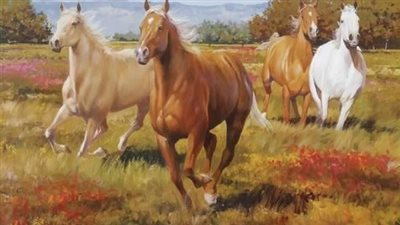 How Much Should You Ride an Older Horse?