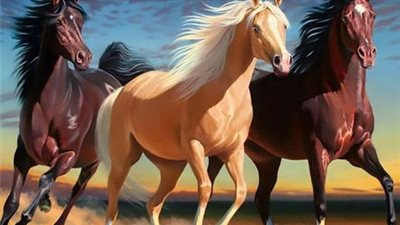 Zen Connection With Horses