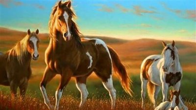Hoofworks: Barefoot Basics