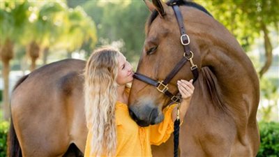 Equine Comfort: The Blissful Harmony Between Horses and Their Beloved Owners  ‎