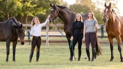 Family Bonds and Equine Connections: Exploring the Joys of Horses in Family Life  ‎
