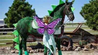 Harnessing Horsepower: The Timeless Partnership of Horses and Carriages Galloping into Fantasy