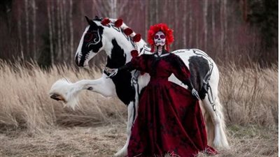 Hoofbeats in the Night: Celebrating Halloween’s Spooky Charm with Horses  ‎