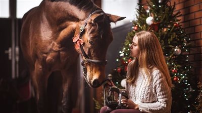 Safer Rope Halters and Bitless Bridles