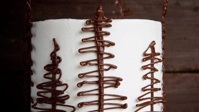Mint Chocolate Cake with Mint Buttercream Frosting