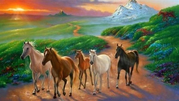 موقع أيام نيوز