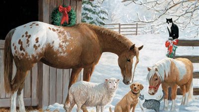 Register Your Horse as a Unicorn