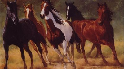 All About the Morgan Horse