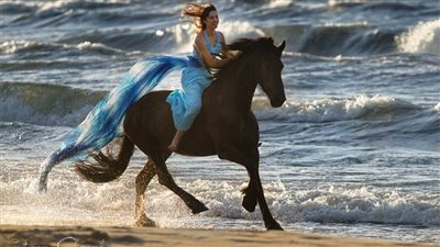 Meet the American Cream Draft Horse