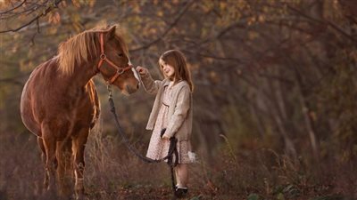 What to Do When Your Horse Loses a Shoe
